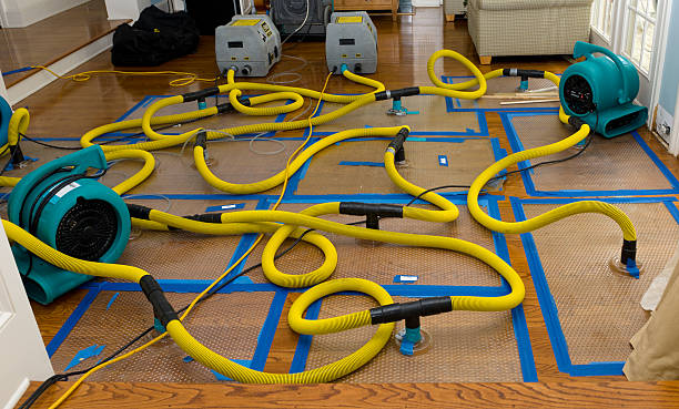 Professional Basement Flood Cleanup technician working in Montesano, WA